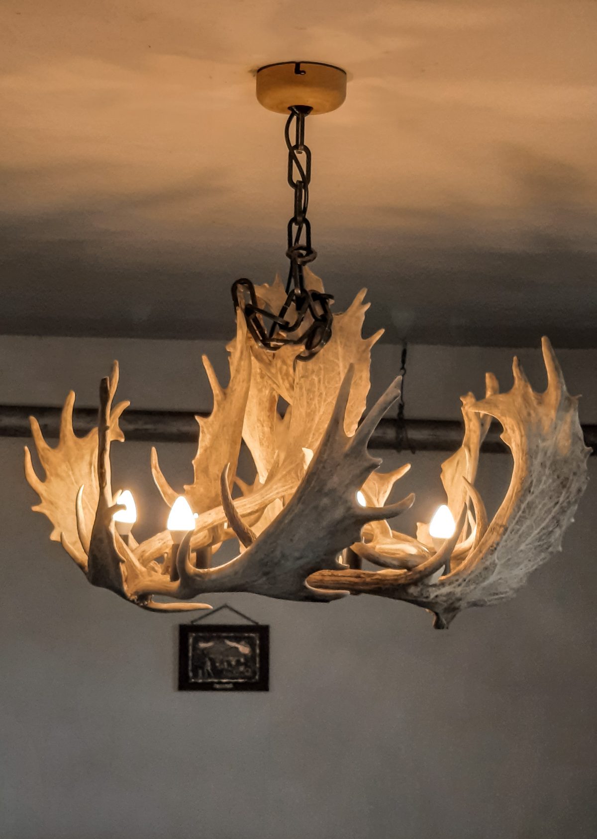 Geweihluster, Geweihluster Österreich, Geweihlampe, Geweih Kronleuchter, Kronleuchter Geweih, Geweih Kronleuchter, Hirschgeweih Luster, antler chandelier, antler lamp, chalet architektur, chalet einrichtung, chalet lampe, landhaus lampe, landhaus stil, landhaus moder, chalet modern, geweihlampe modern, geweihluster modern, moderne chalet einrichtung, Johannes Forkl, OH MY DEER, grosser Geweih Kronleuchter, geweihleuchter, maßfertigung, abwurfstangen, geweih kronleuchter, rothirsch abwurfstangen, hotel tirol italien, chalet lampe, chalet look, chalet chic, damhirsch